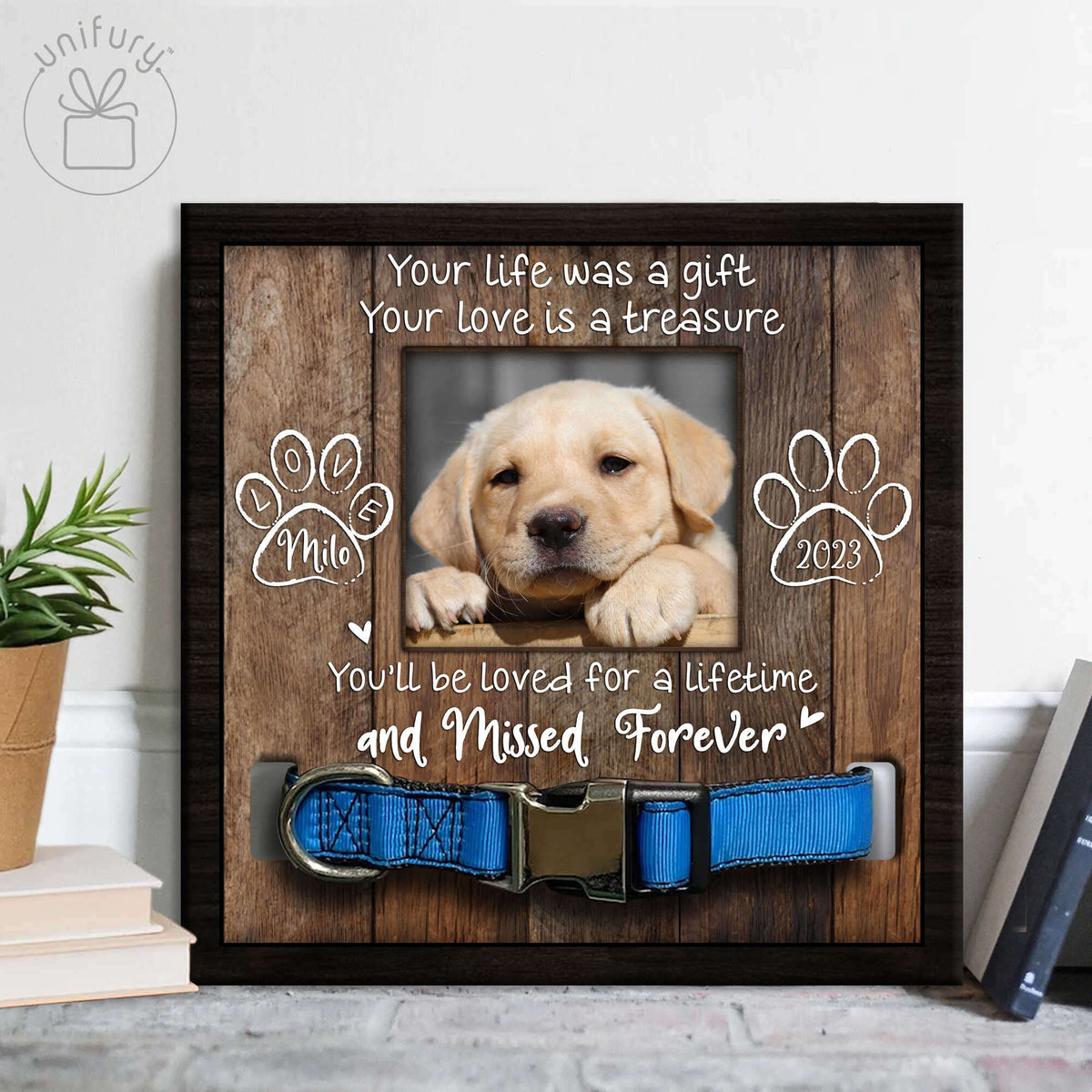 Very Special Dog Pet Collar Frame
