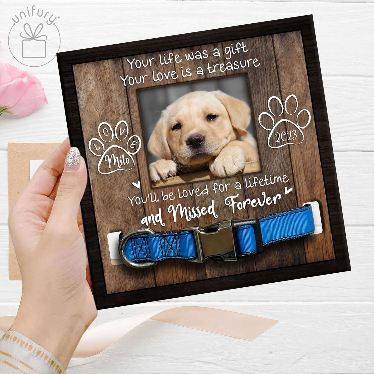Very Special Dog Pet Collar Frame