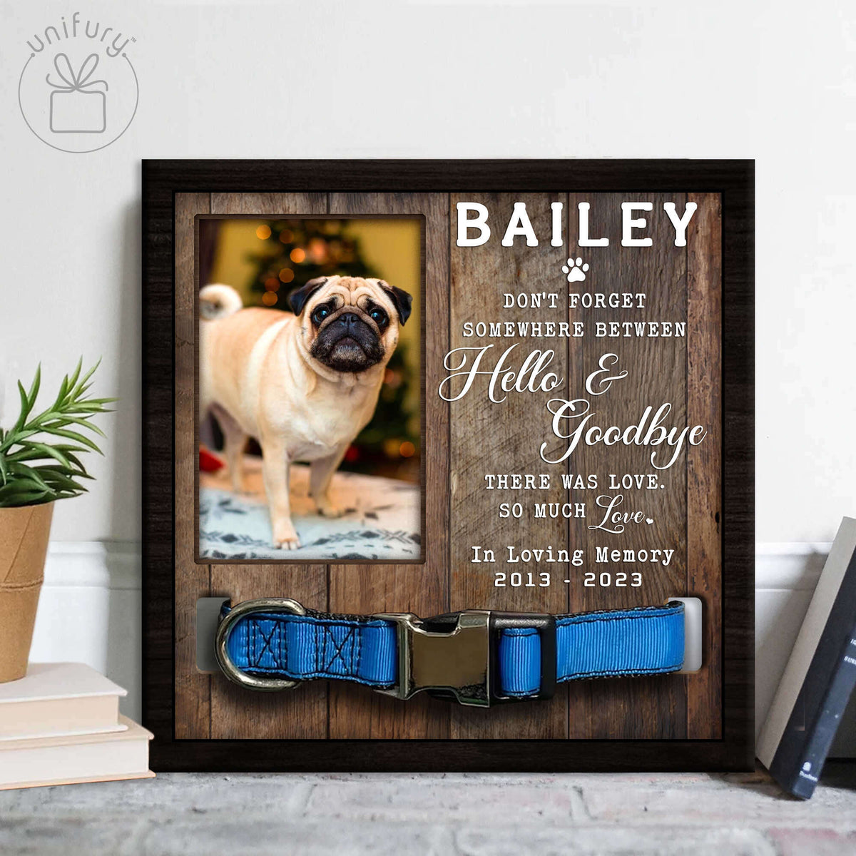 Somewhere Between Hello And Goodbye Memorial Dog Cat Collar Frame