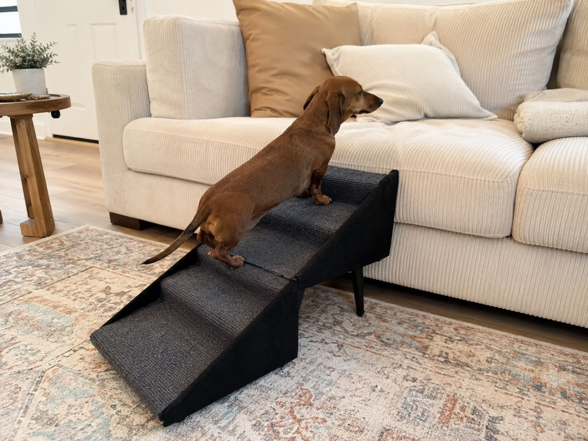 Foldable Dog Ramp for Bed & Couch – Non-Slip Pet Stairs Ramp for Small & Senior Dogs