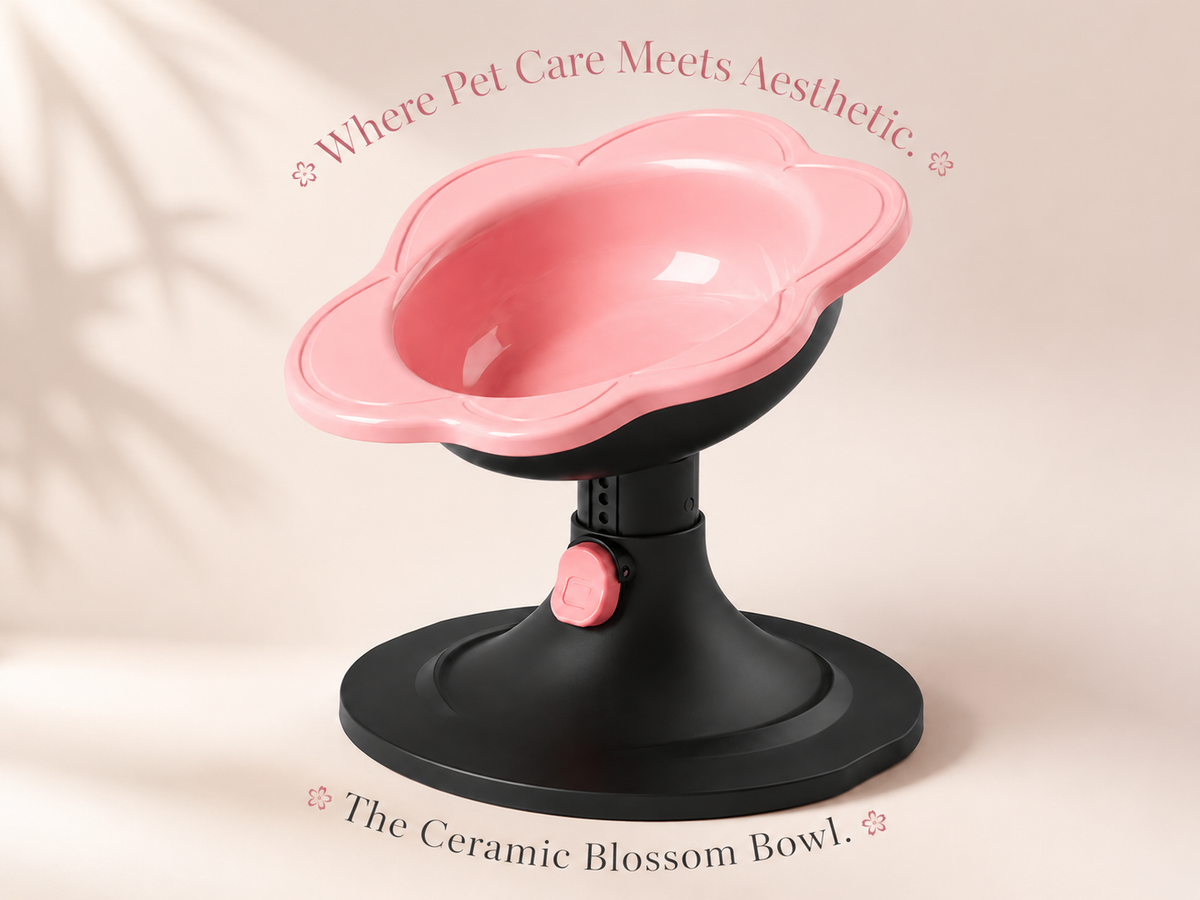 Adjustable Raised Ceramic Cat Bowl | Whisker-Friendly Elevated Cat Bowl