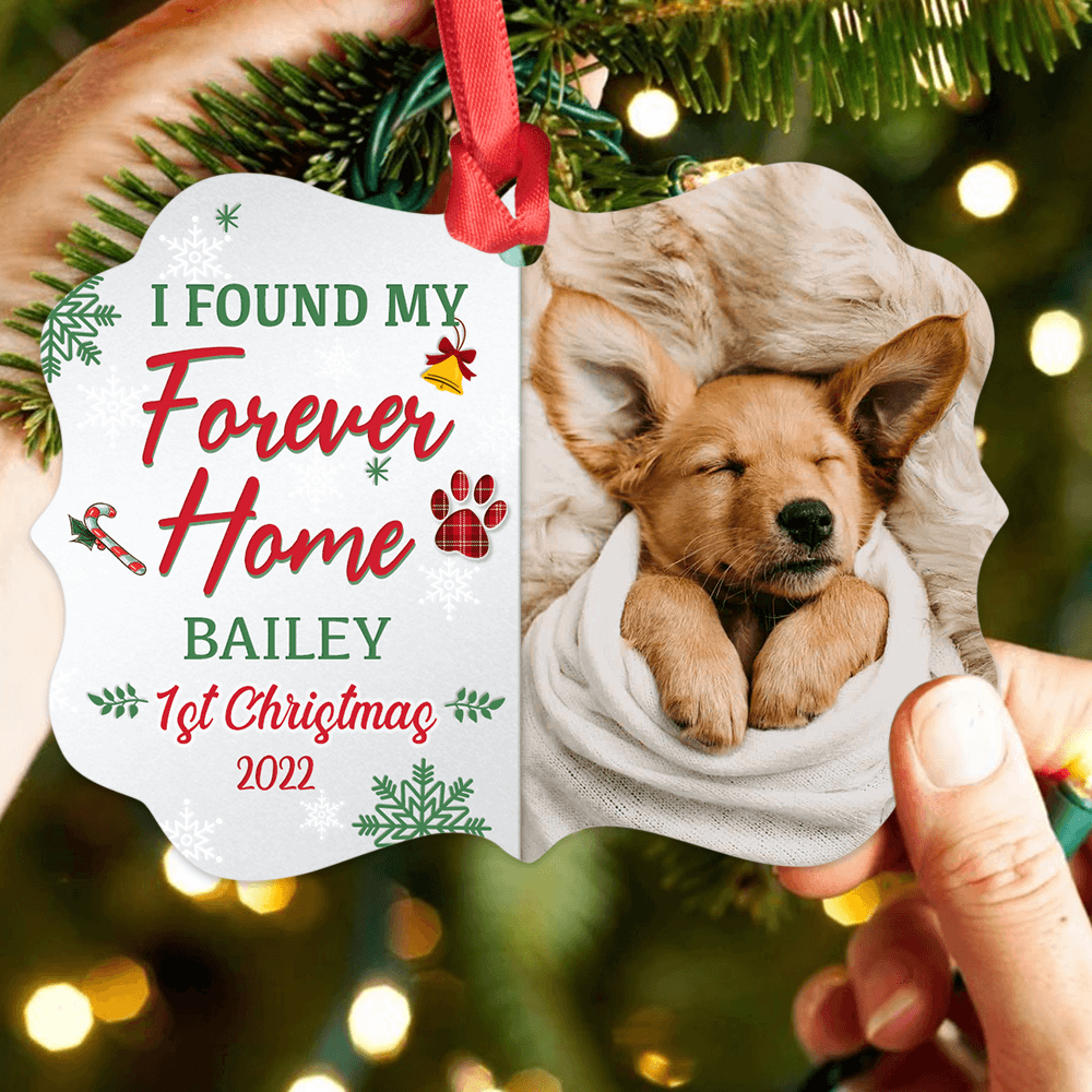 Personalized Dog First Christmas Medallion Metal Ornament - I found my forever home - Custom Photo, Name & Year