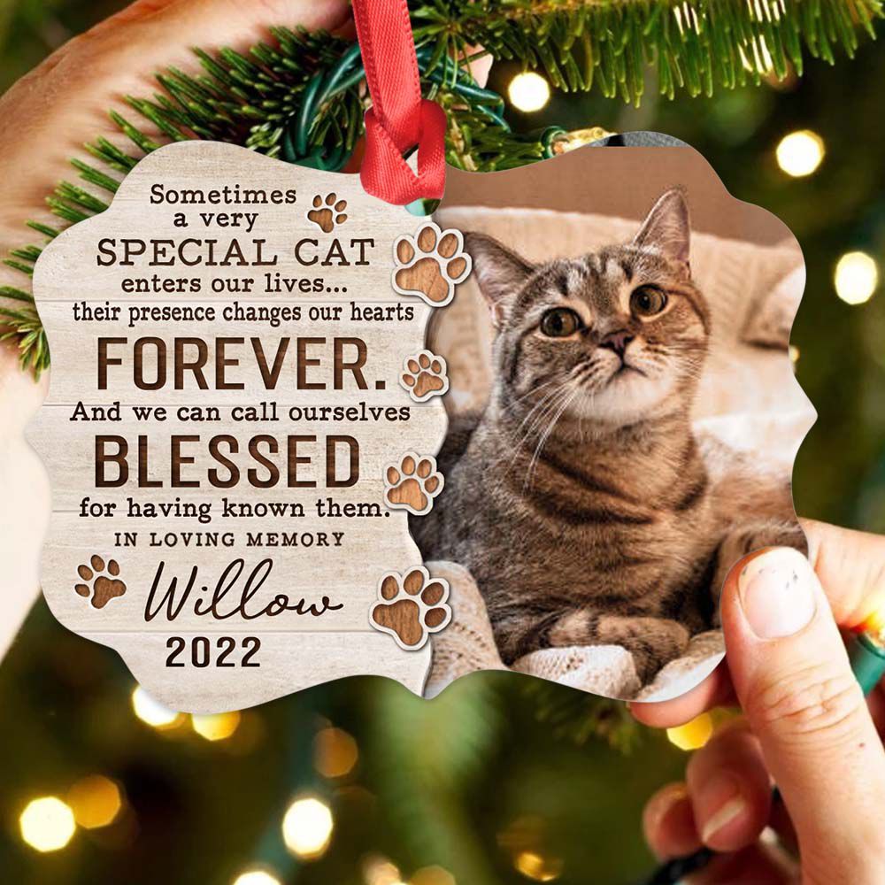 Personalized Memorial Medallion Metal Ornament gifts for cat lovers - Sometimes a very special cat - Custom Photo