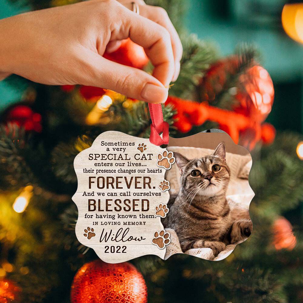 Personalized Memorial Medallion Metal Ornament gifts for cat lovers - Sometimes a very special cat - Custom Photo