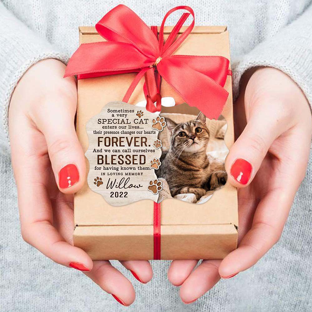 Personalized Memorial Medallion Metal Ornament gifts for cat lovers - Sometimes a very special cat - Custom Photo