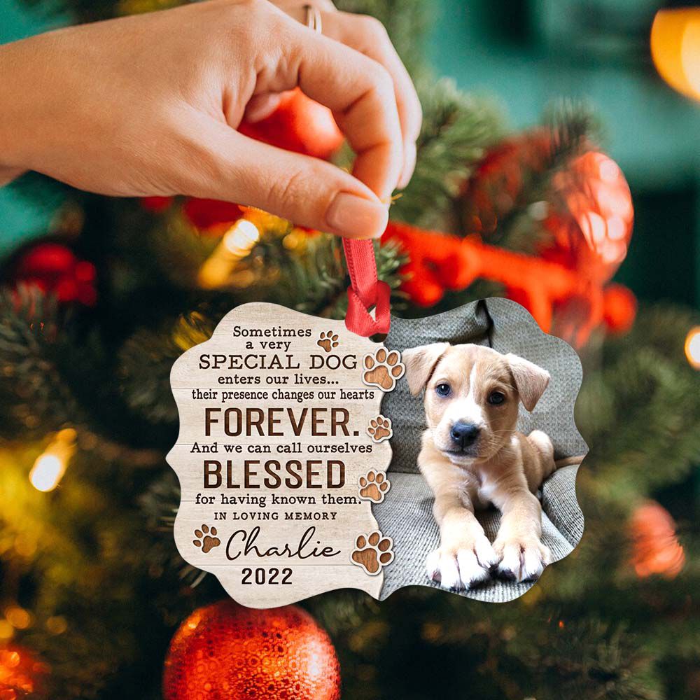 Personalized Memorial Medallion Metal Ornament gifts for dog lovers - Sometimes a very special dog - Custom Photo