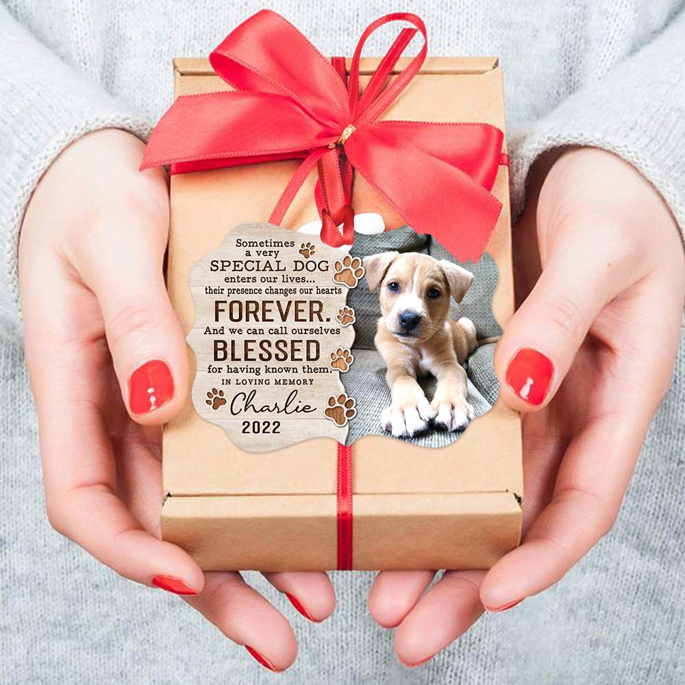 Personalized Memorial Medallion Metal Ornament gifts for dog lovers - Sometimes a very special dog - Custom Photo
